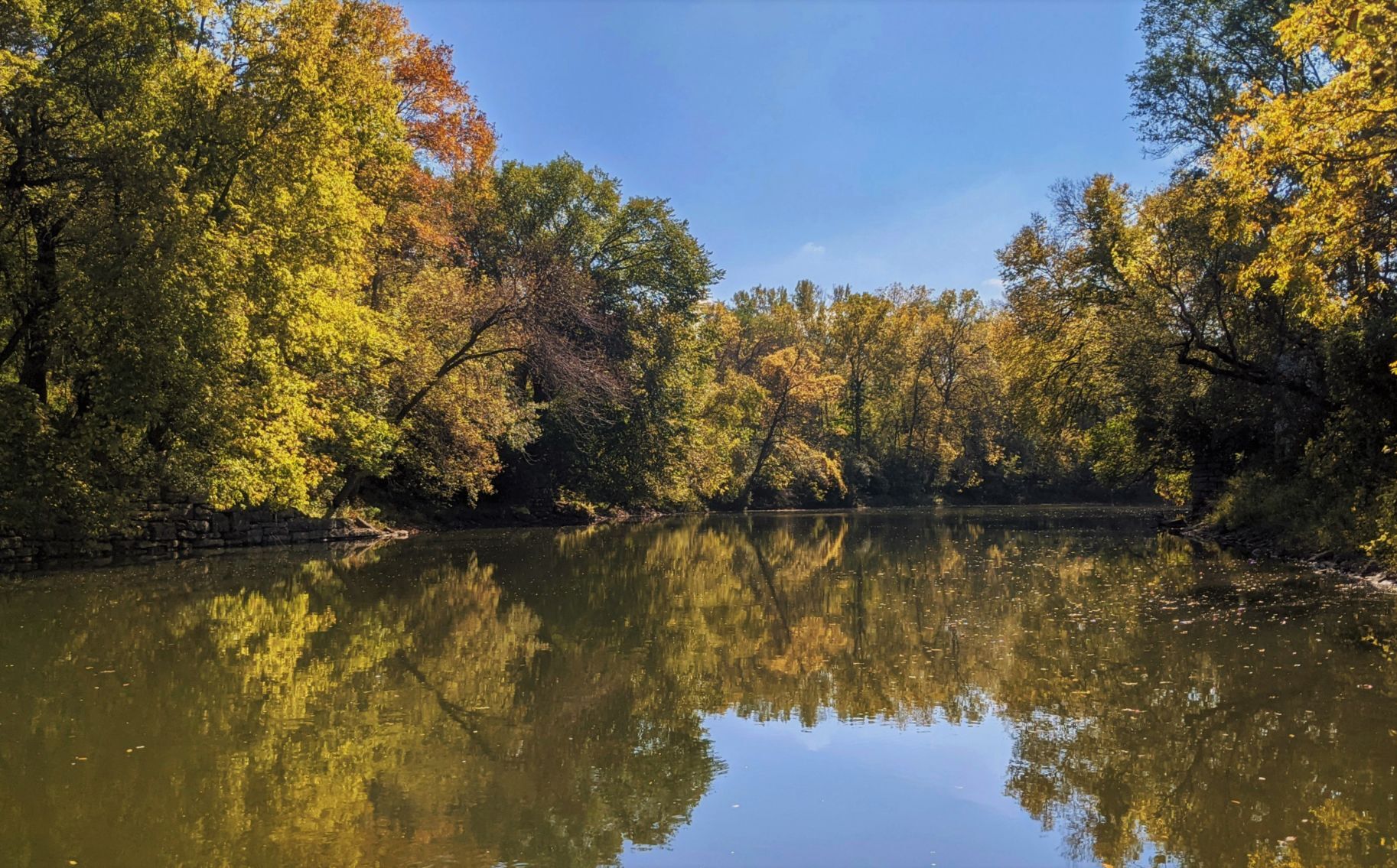 Fall in Mason City - Willow